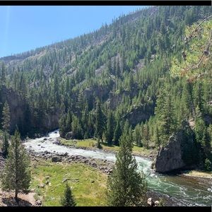 Meet your Posher, Dawn